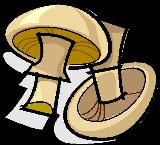 Mushrooms