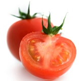tomatoes